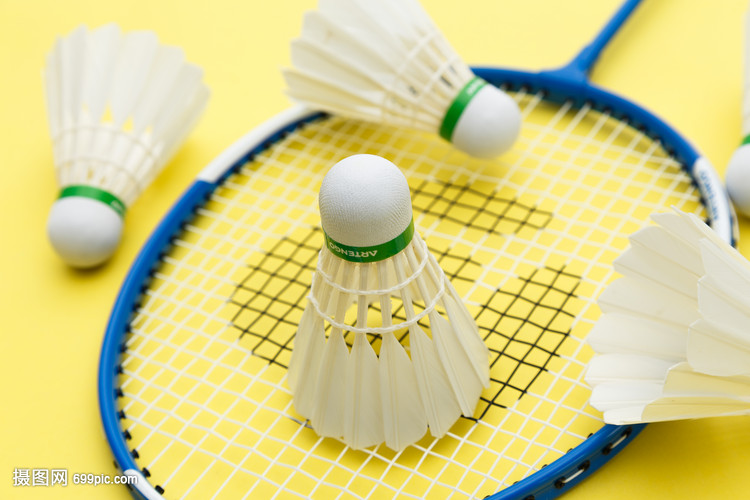 助力巴黎圣 助力巴黎圣